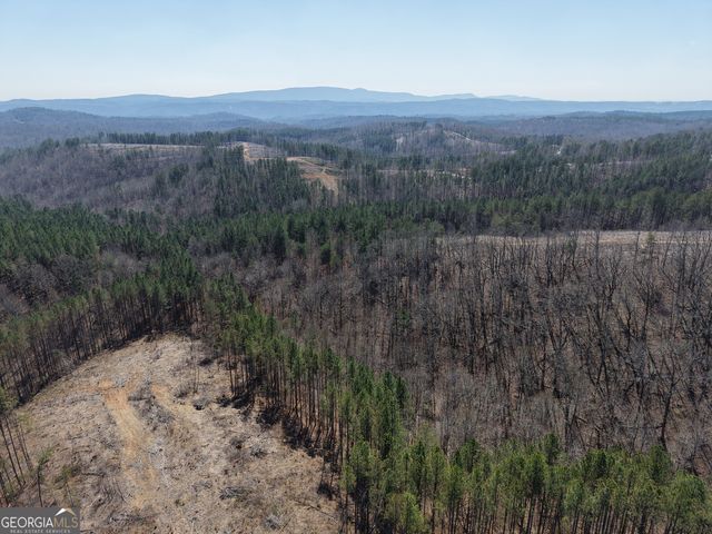 0 Young Loop 7206 PARCEL B, Fairmount, GA 30139