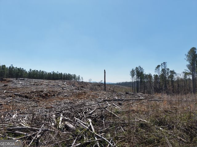 0 Young Loop 7206 PARCEL B, Fairmount, GA 30139