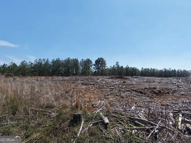 0 Young Loop 7206 PARCEL B, Fairmount, GA 30139