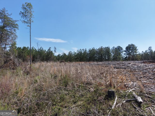 0 Young Loop 7206 PARCEL B, Fairmount, GA 30139