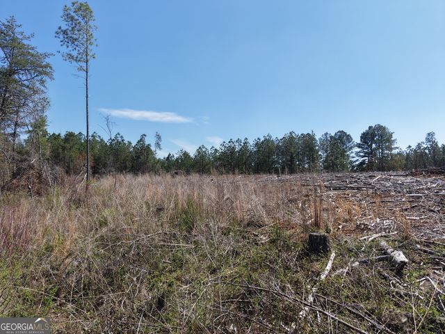 0 Young Loop 7206 PARCEL B, Fairmount, GA 30139