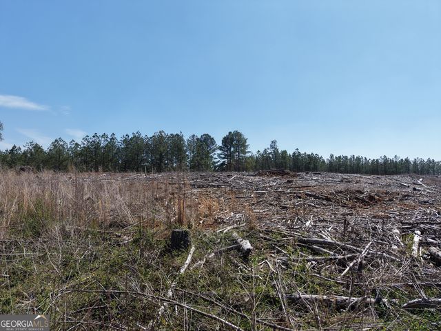 0 Young Loop 7206 PARCEL B, Fairmount, GA 30139