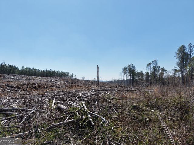 0 Young Loop 7206 PARCEL B, Fairmount, GA 30139