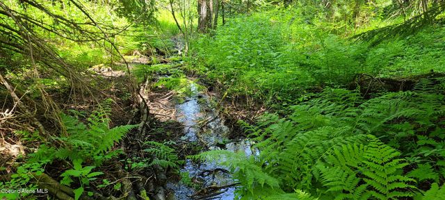 NNA Pup Paw Trail, Priest River, ID 83856