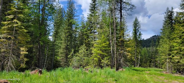 NNA Pup Paw Trail, Priest River, ID 83856