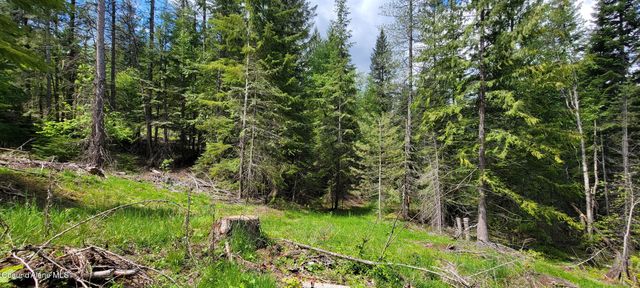 NNA Pup Paw Trail, Priest River, ID 83856