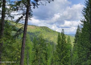 NNA Pup Paw Trail, Priest River, ID 83856