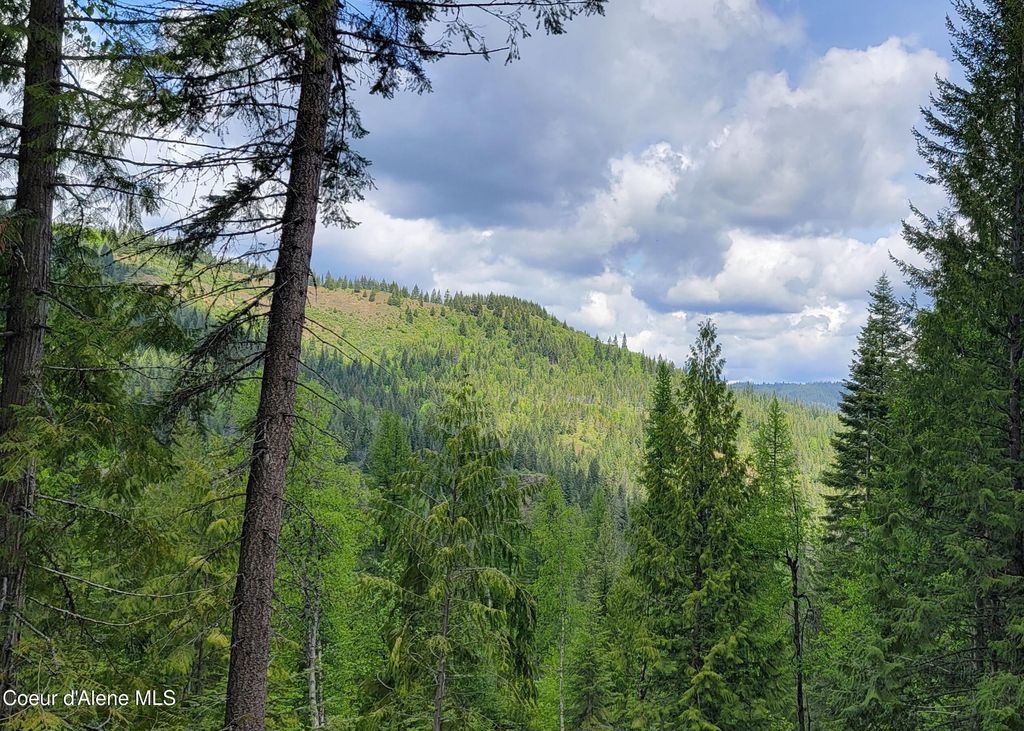 NNA Pup Paw Trail, Priest River, ID 83856