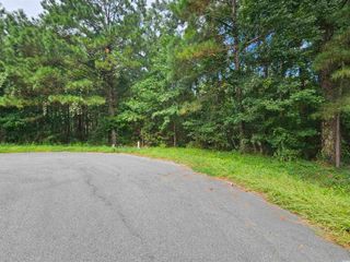 8340 Bucksport Heights Circle, Conway, SC 29527