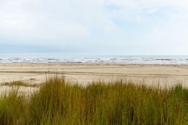 4131 Jackson Drive, Galveston, TX 77554