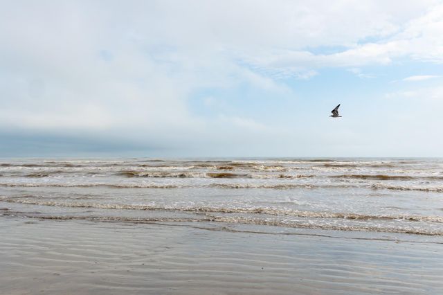 4131 Jackson Drive, Galveston, TX 77554