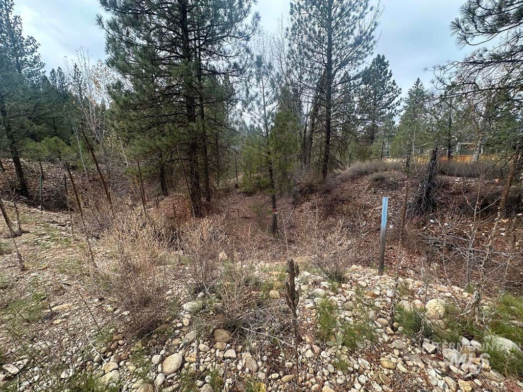 L51 Lily Loop, Idaho City, ID 83631 photo 1