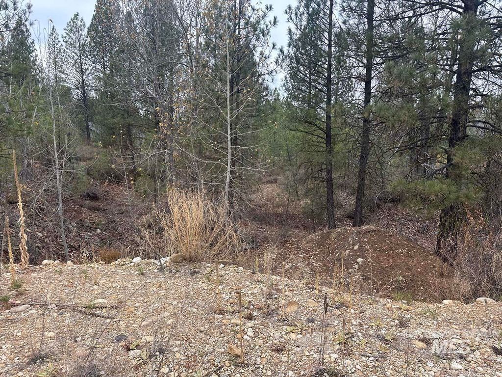 L51 Lily Loop, Idaho City, ID 83631 photo 2