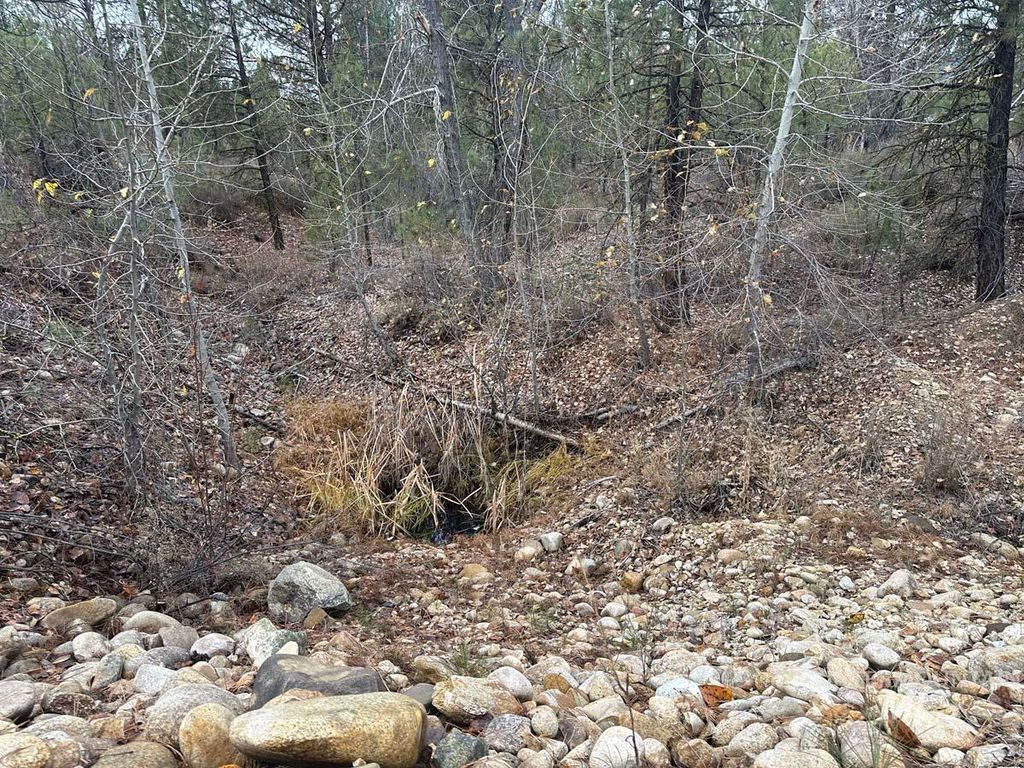 L51 Lily Loop, Idaho City, ID 83631 photo 3