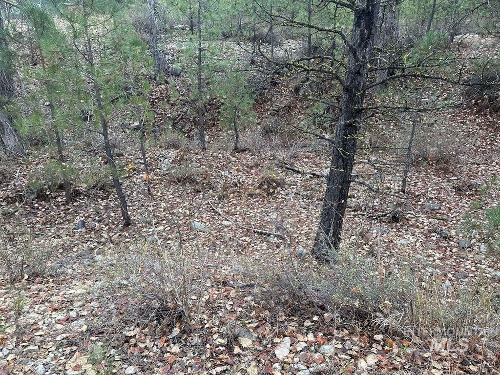 L51 Lily Loop, Idaho City, ID 83631 photo 4