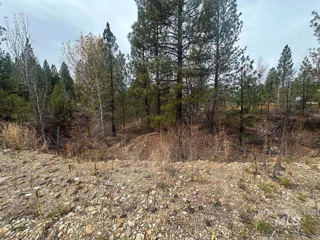 L51 Lily Loop, Idaho City, ID 83631 photo 5
