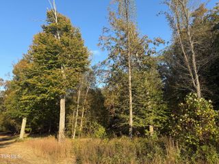 Tbd Smith Hollow Road, Church Hill, TN 37642