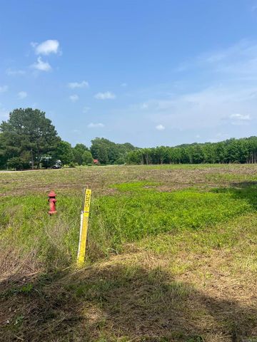 002 Dripping Springs Landing, Pangburn, AR 72121