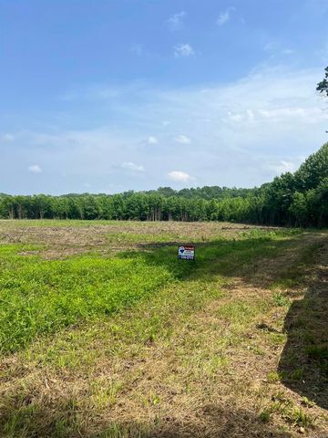 002 Dripping Springs Landing, Pangburn, AR 72121