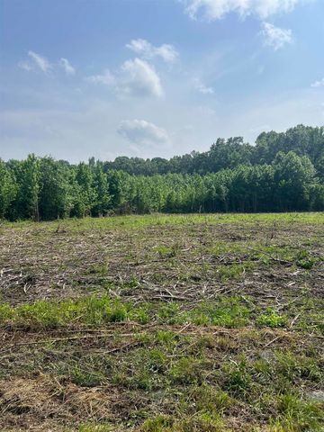 002 Dripping Springs Landing, Pangburn, AR 72121