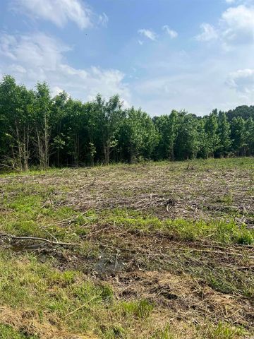 002 Dripping Springs Landing, Pangburn, AR 72121