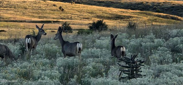 4 Mustang Trail, Sonoita, AZ 85637