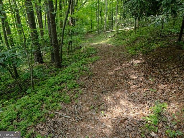 11 Treasure Lane, Blairsville, GA 30512