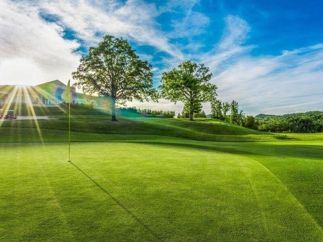 2 Magnolia Ridge, Branson, MO 65616