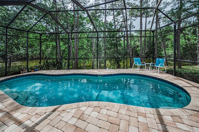 1502 WOODSTREAM DRIVE, Oldsmar, FL 34677