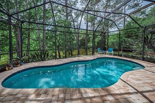 1502 WOODSTREAM DRIVE, Oldsmar, FL 34677