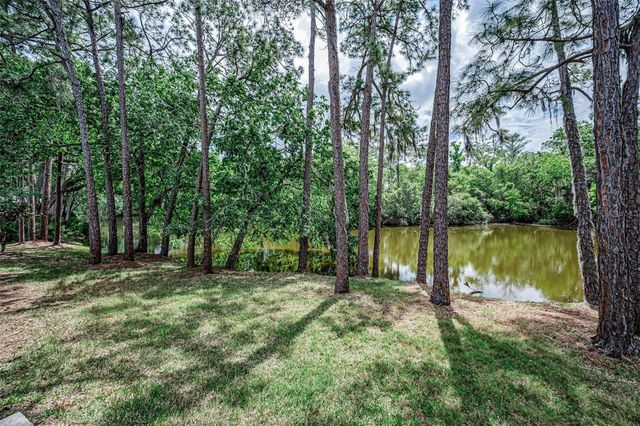 1502 WOODSTREAM DRIVE, Oldsmar, FL 34677