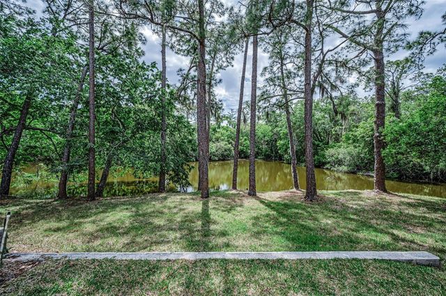 1502 WOODSTREAM DRIVE, Oldsmar, FL 34677