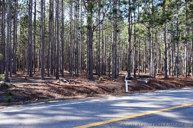 NC Hwy 130 Highway, Fairmont, NC 28340