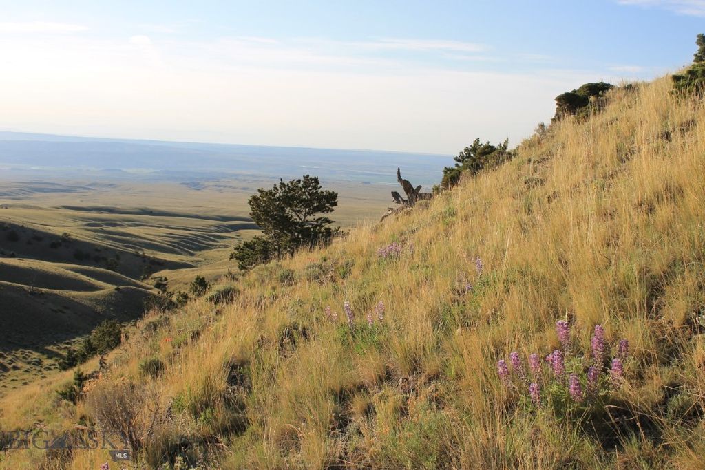 947-7 Freedom, Belfry, MT 59008 photo 14