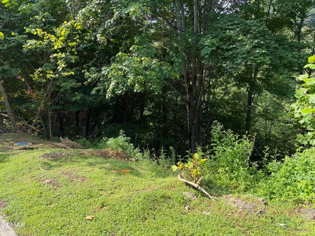Lot 56 Smoky Ridge Way, Sevierville, TN 37862