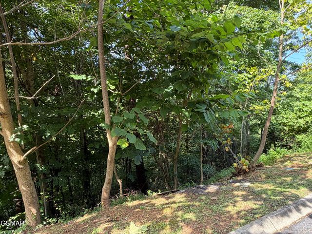 Lot 56 Smoky Ridge Way, Sevierville, TN 37862