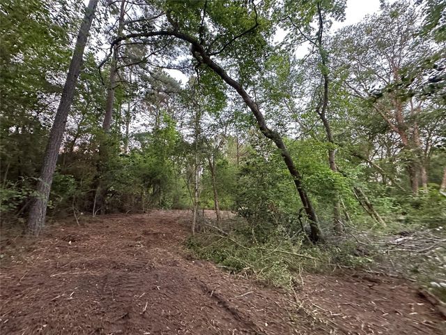 Lot 85 Pr 1317, Centerville, TX 75833