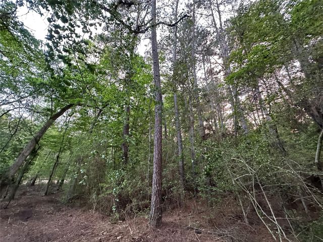 Lot 85 Pr 1317, Centerville, TX 75833