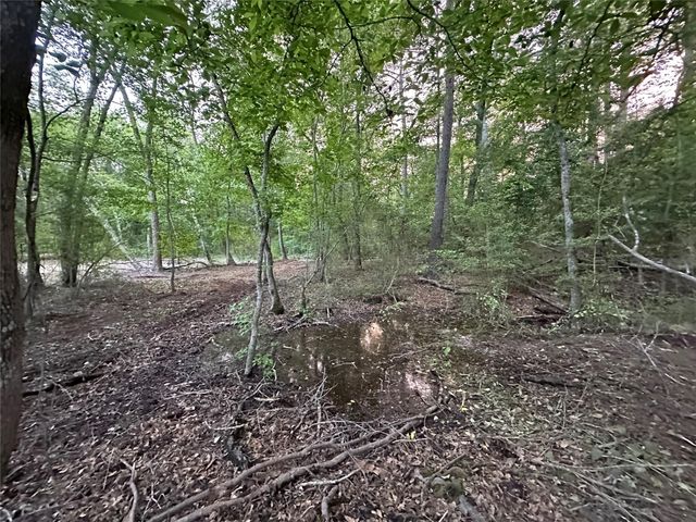 Lot 85 Pr 1317, Centerville, TX 75833