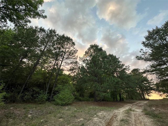 Lot 85 Pr 1317, Centerville, TX 75833