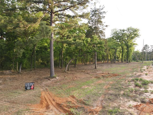 Lot 85 Pr 1317, Centerville, TX 75833