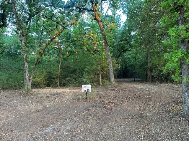 Lot 85 Pr 1317, Centerville, TX 75833