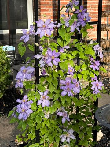 2260 S Barcliff Avenue, Springfield, MO 65804
