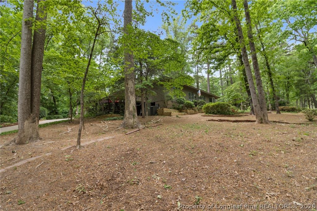 209 Lakeview Drive, Sanford, NC 27322 — photo 49