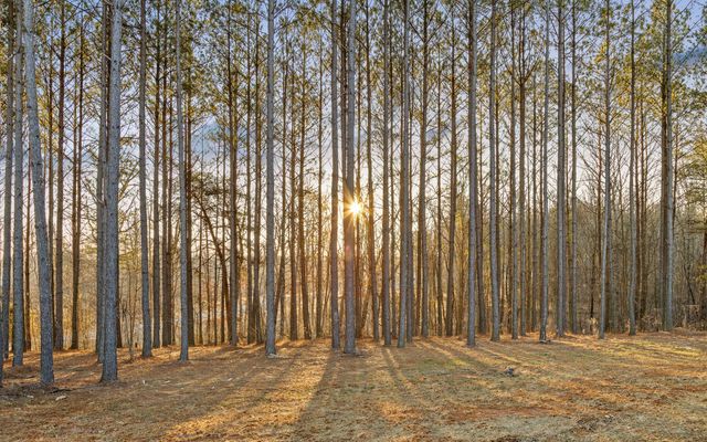 220 High Point Lane, Jasper, TN 37347