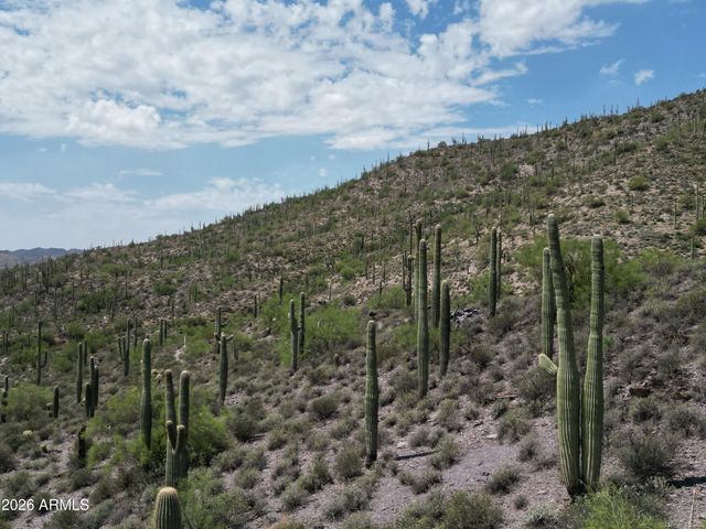 426XX N 66th Street -, Cave Creek, AZ 85331