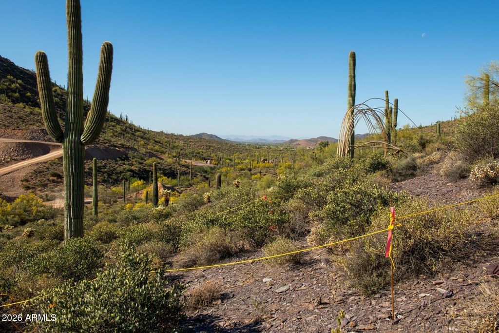 426XX N 66th Street -, Cave Creek, AZ 85331 — photo 4