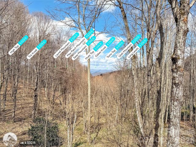 1664 Tawodi Trail, Maggie Valley, NC 28751