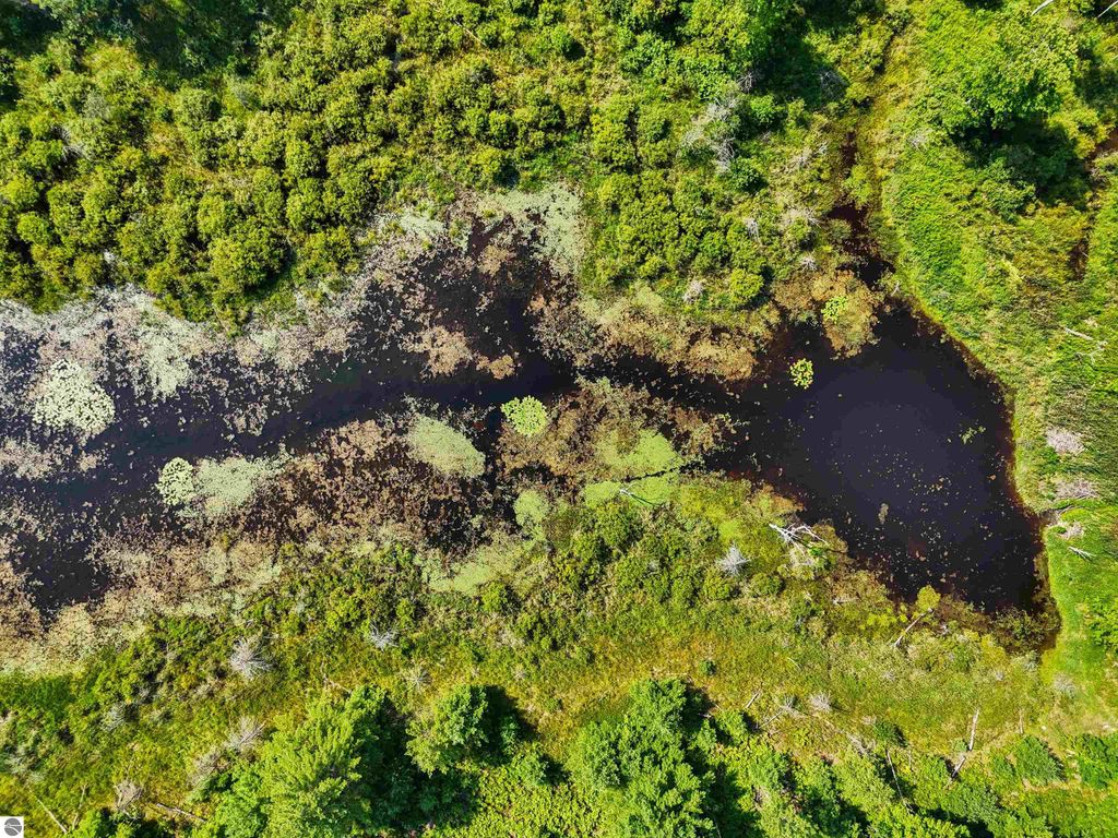 Image 10 of property listing at 00 Arnold Road, Manton, MI 49663