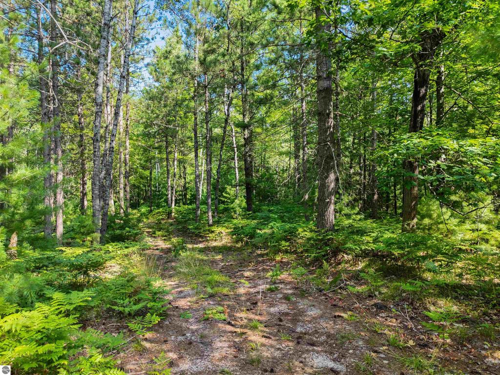 Image 11 of property listing at 00 Arnold Road, Manton, MI 49663